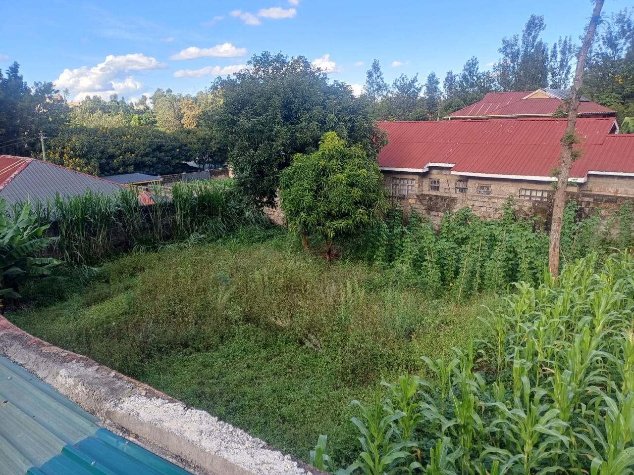 Kiambu-Kiamumbi-¼ Acre For Sale